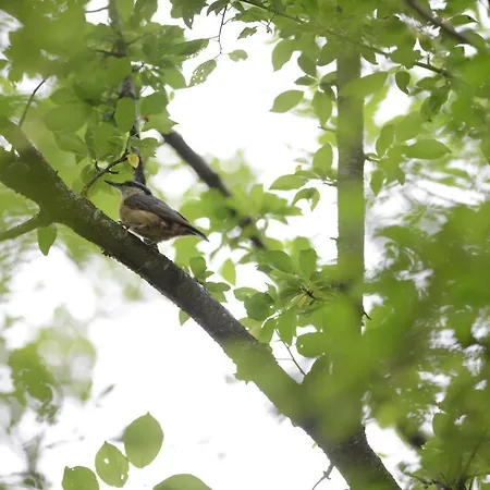 Casă la țară Adventure Camp