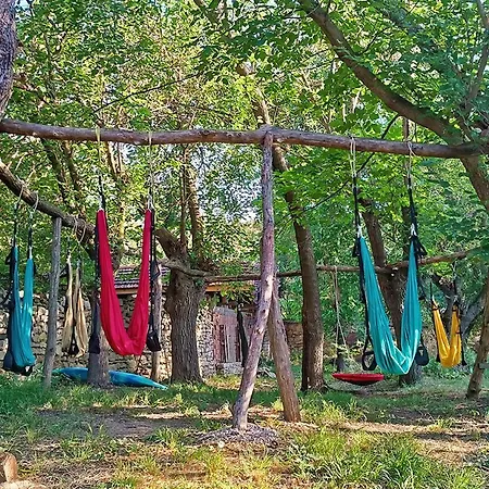 Adventure Camp *