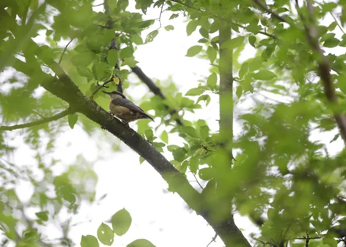 Kır Evi Adventure Camp